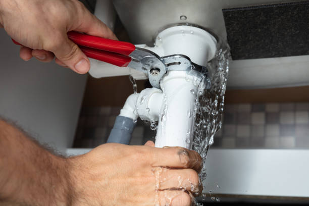 Best Flood restoration services  in Waikele, HI