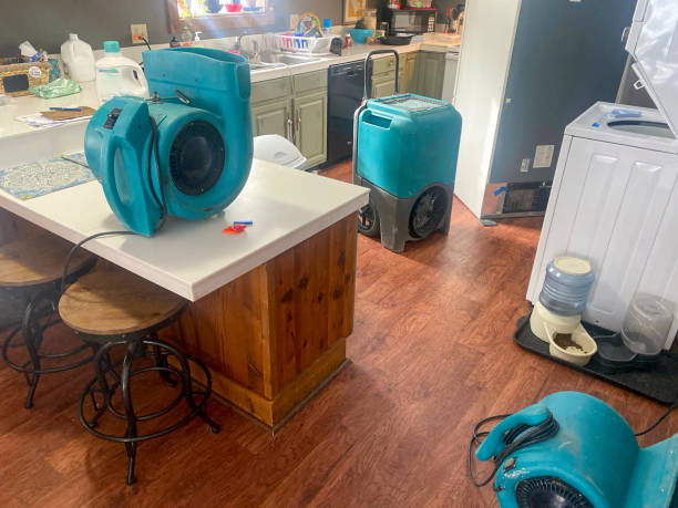 Best Basement water damage restoration  in Waikele, HI