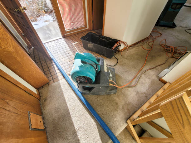 Best Ceiling water damage repair  in Waikele, HI