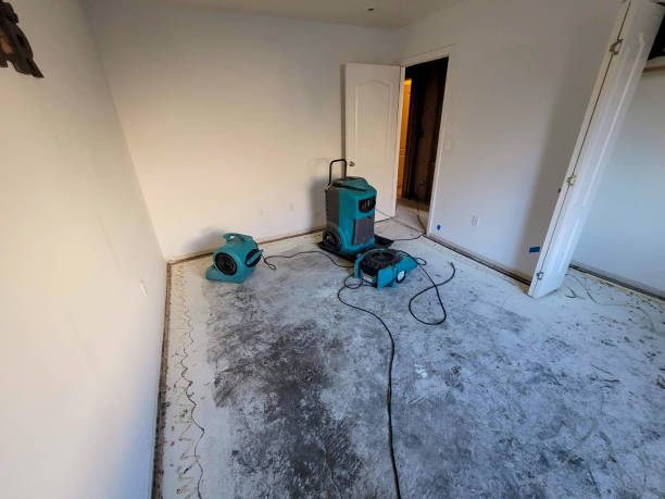 Best Water damage restoration near me  in Waikele, HI