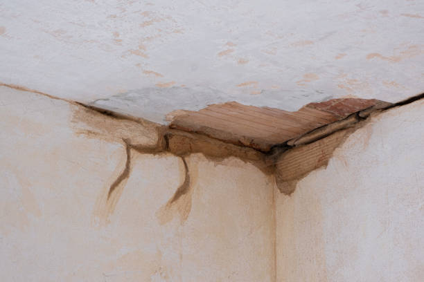  Waikele, HI Water damage restoration Pros