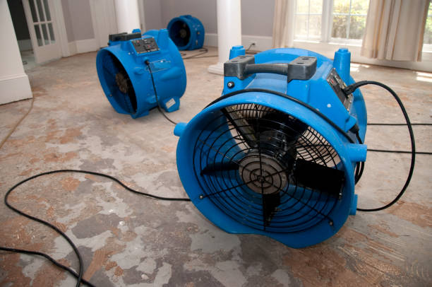 Best Water damage contractors near me  in Waikele, HI