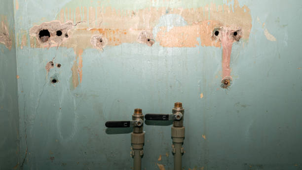 Best Water damage restoration near me  in Waikele, HI