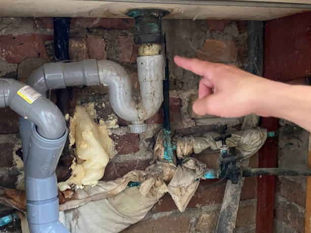Best Water damage restoration near me  in Waikele, HI