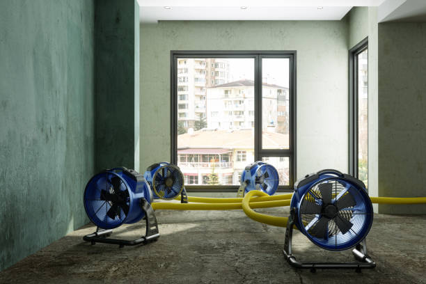 Best Water damage cleanup near me  in Waikele, HI